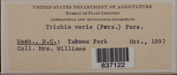 Image Associated With the Occurence